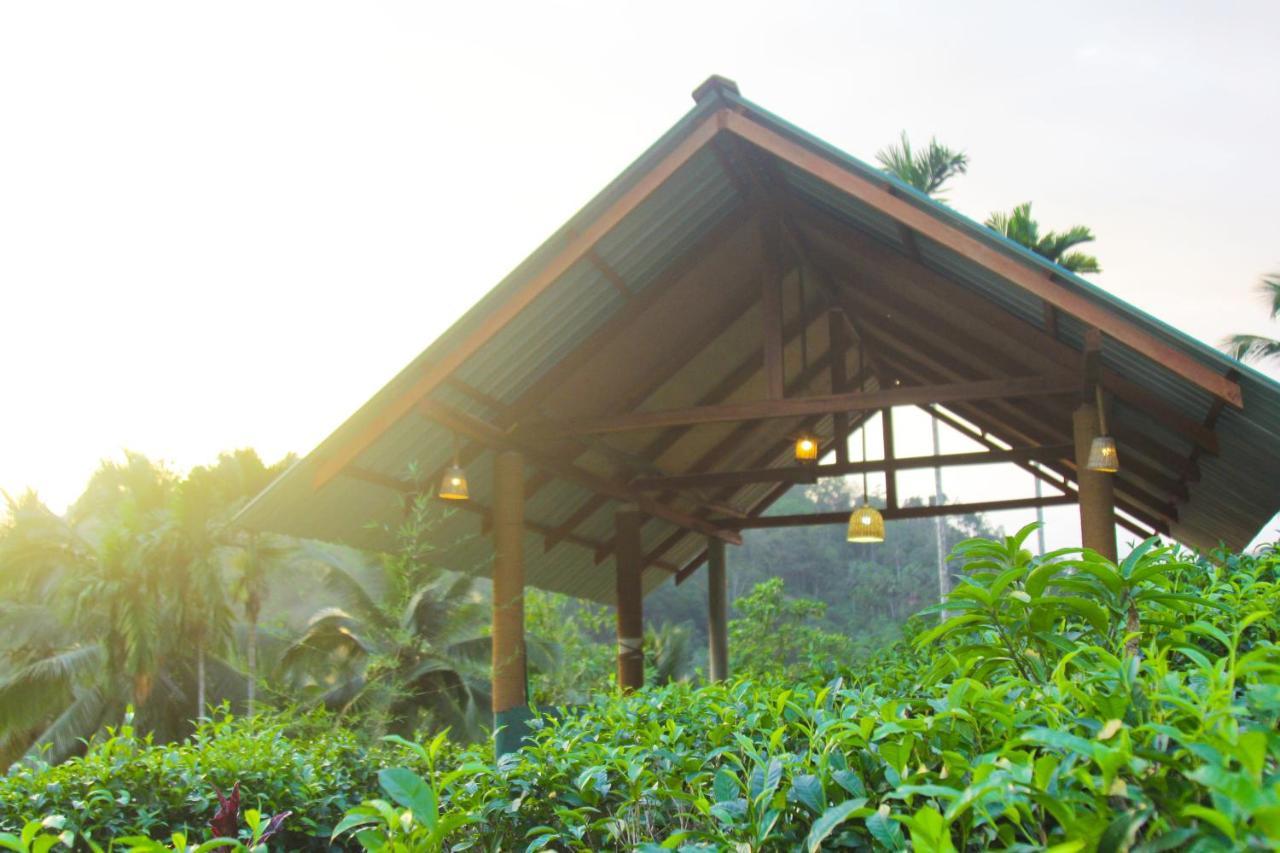 Rainforest Mount Lodge Deniyaya Εξωτερικό φωτογραφία