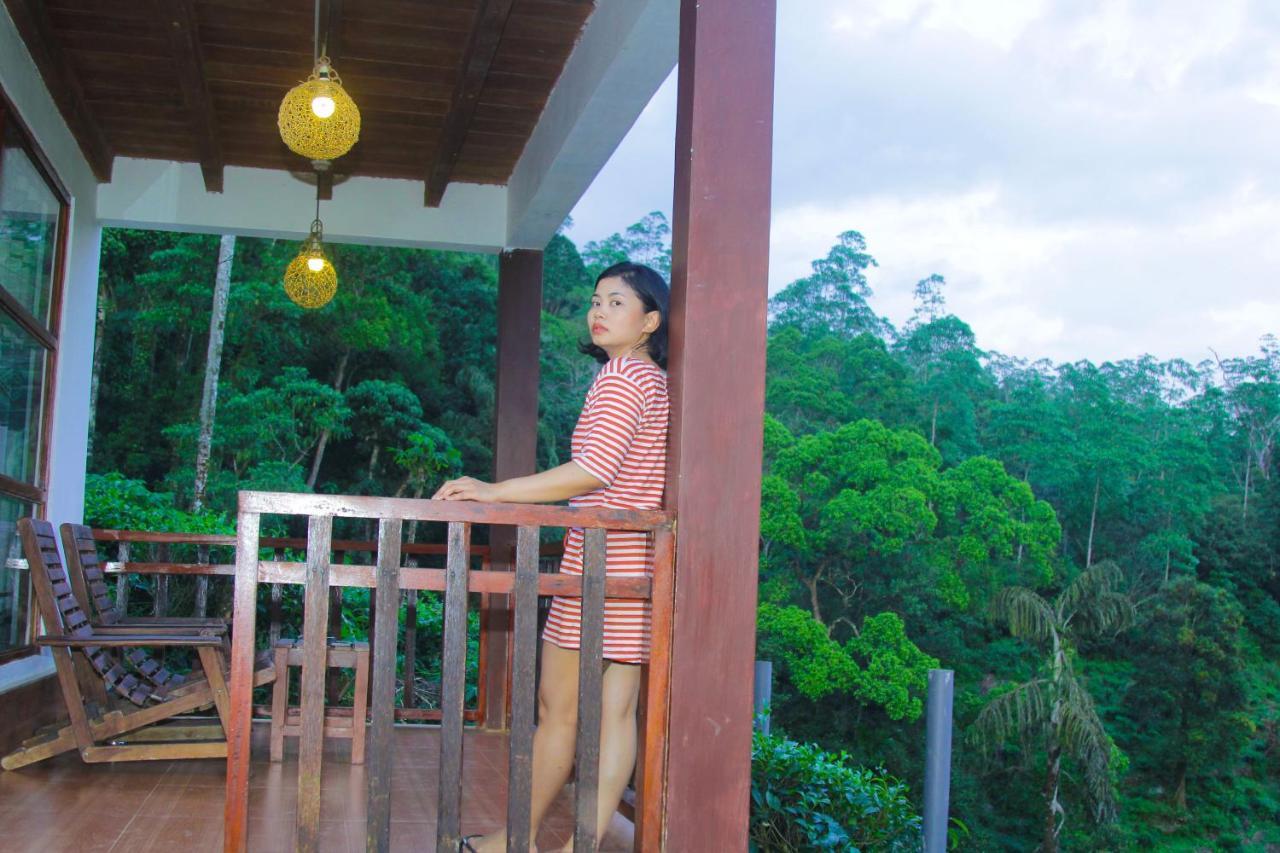 Rainforest Mount Lodge Deniyaya Εξωτερικό φωτογραφία