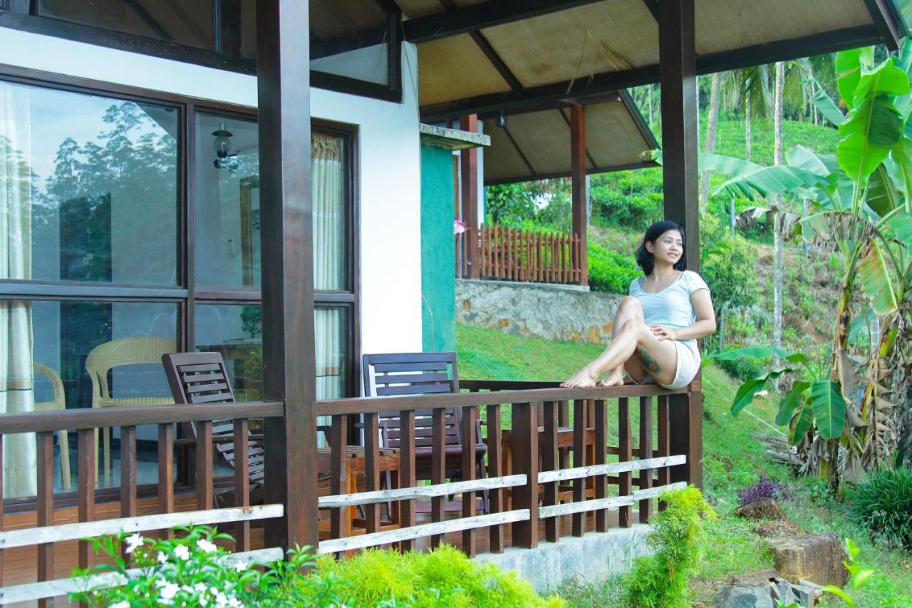 Rainforest Mount Lodge Deniyaya Εξωτερικό φωτογραφία