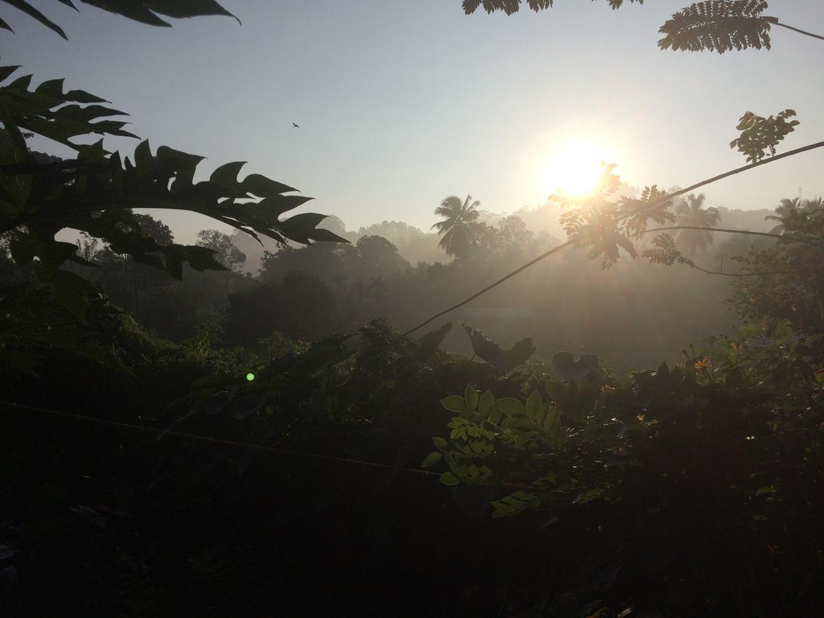 Rainforest Mount Lodge Deniyaya Εξωτερικό φωτογραφία