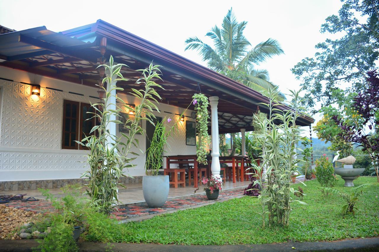 Rainforest Mount Lodge Deniyaya Εξωτερικό φωτογραφία