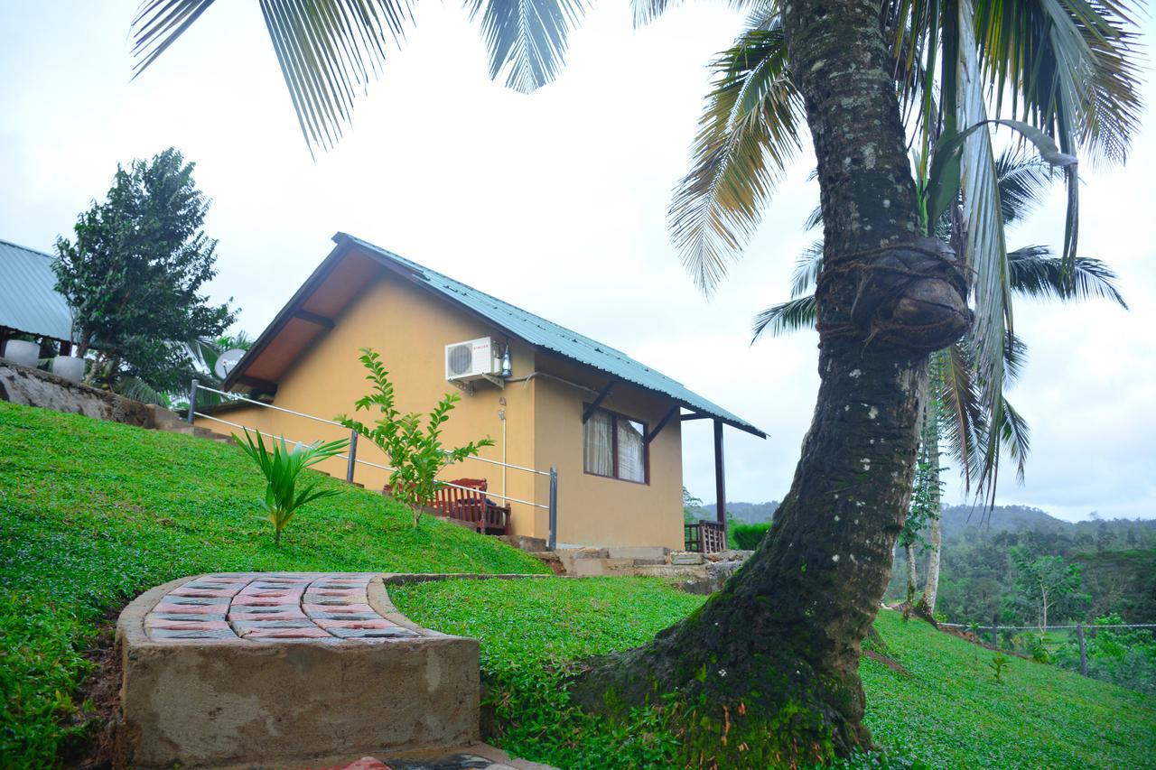 Rainforest Mount Lodge Deniyaya Εξωτερικό φωτογραφία
