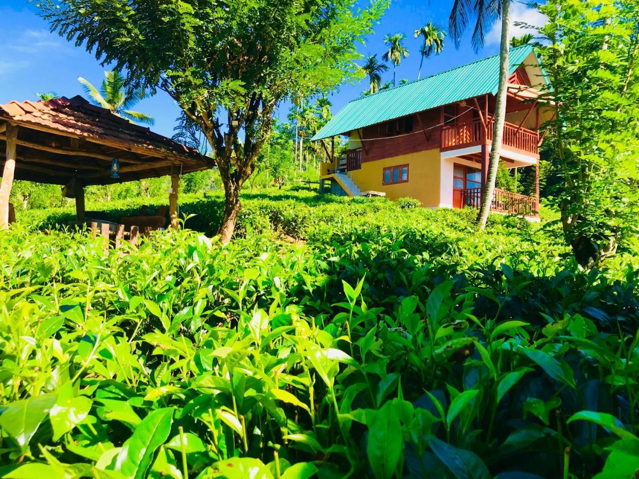 Rainforest Mount Lodge Deniyaya Εξωτερικό φωτογραφία