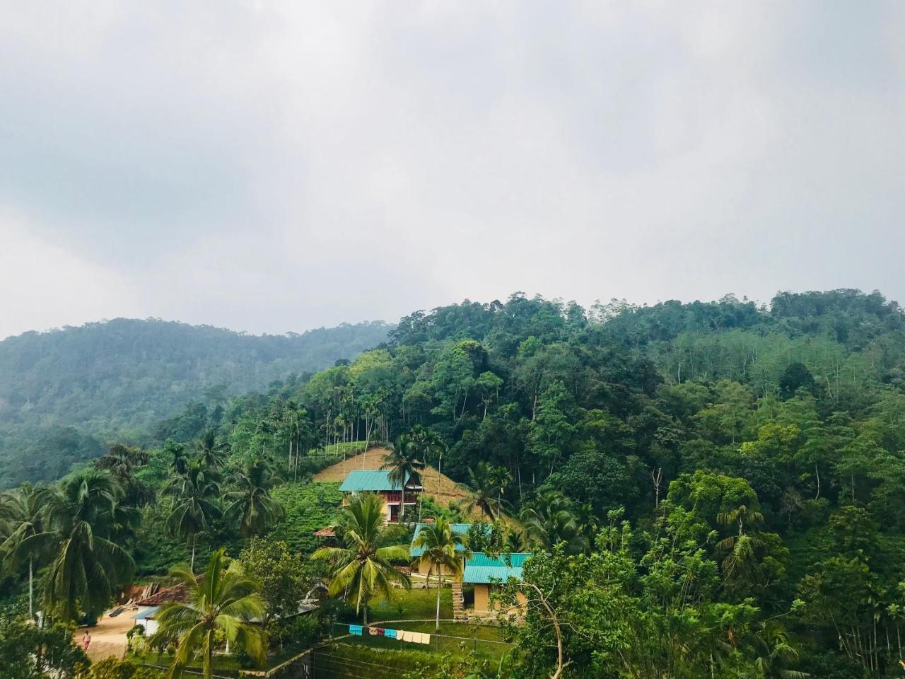 Rainforest Mount Lodge Deniyaya Εξωτερικό φωτογραφία