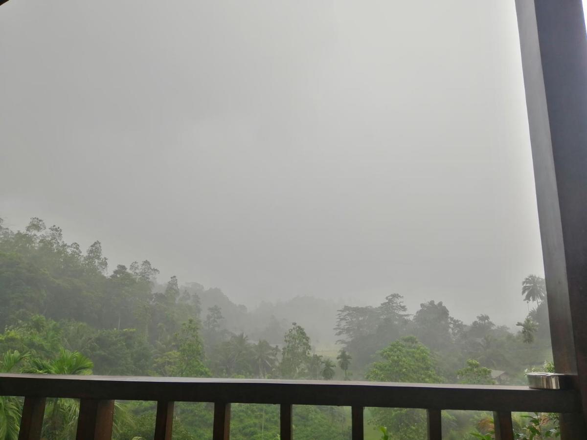 Rainforest Mount Lodge Deniyaya Εξωτερικό φωτογραφία